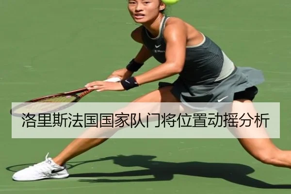 洛里斯法国国家队门将位置动摇分析